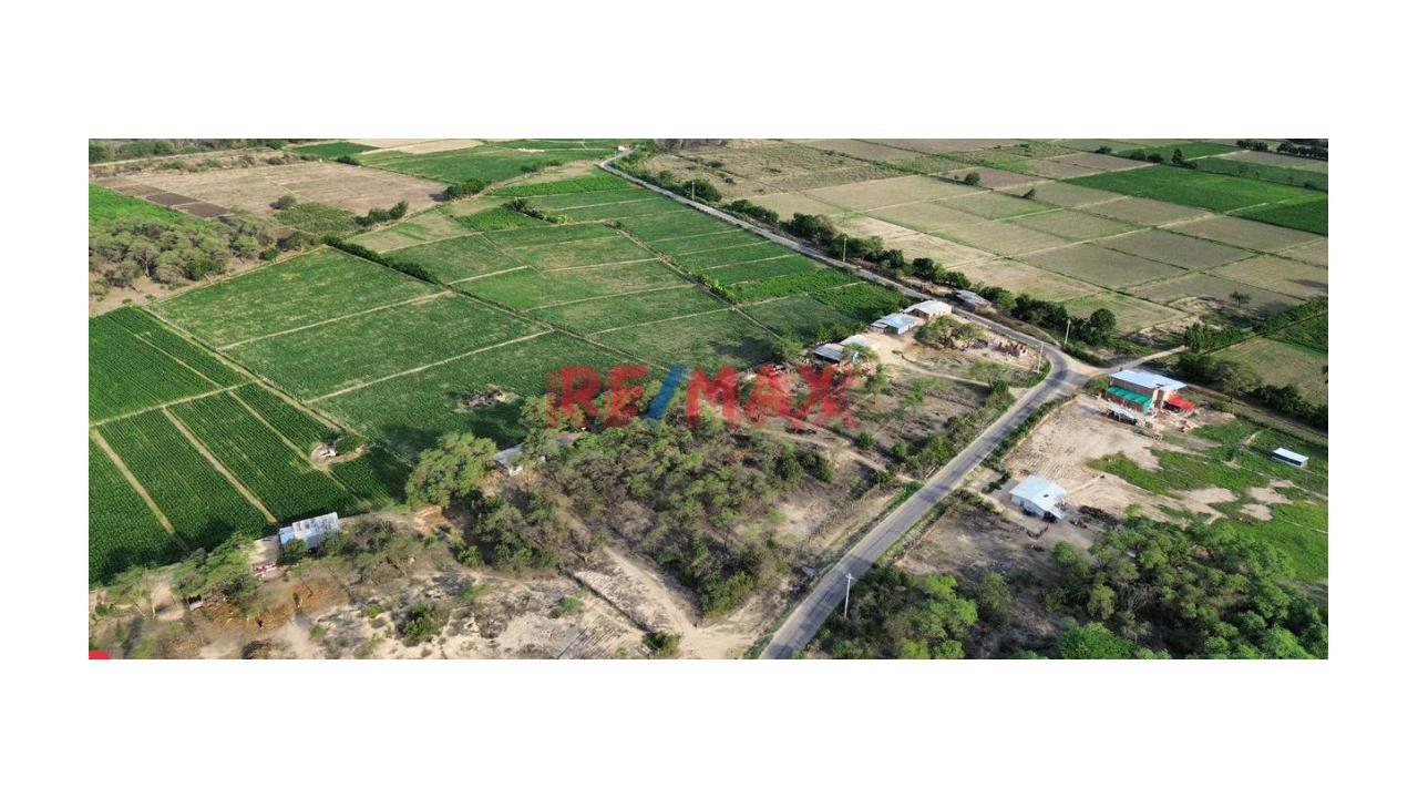 🚨 ¡Se Vende Espectacular Terreno En La Viña 17,360M2 – Jayanca! 🚨 - 3