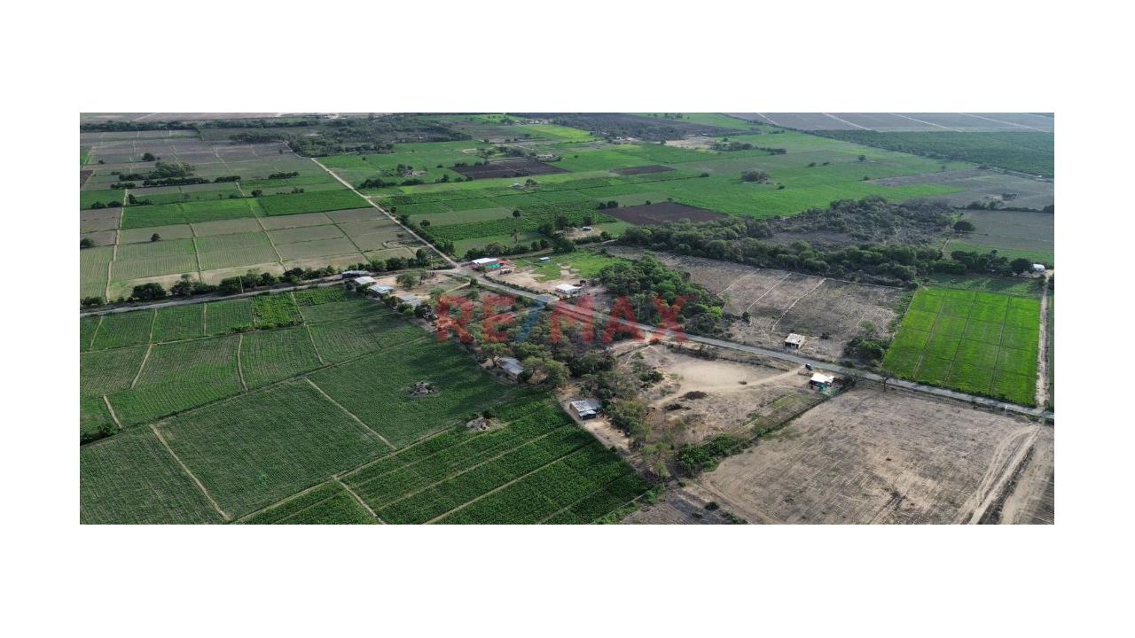 🚨 ¡Se Vende Espectacular Terreno En La Viña 17,360M2 – Jayanca! 🚨 - 4