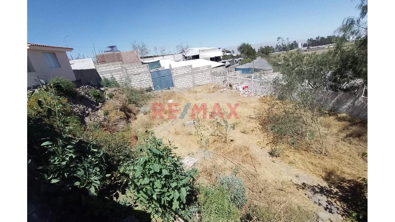 Venta Terreno Rustico En Los Tucos Cayma - 4