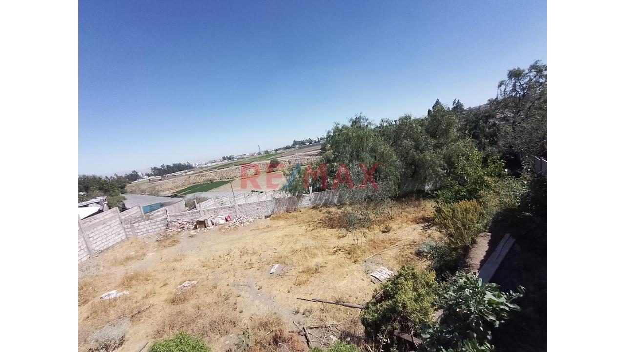 Venta Terreno Rustico En Los Tucos Cayma - 6