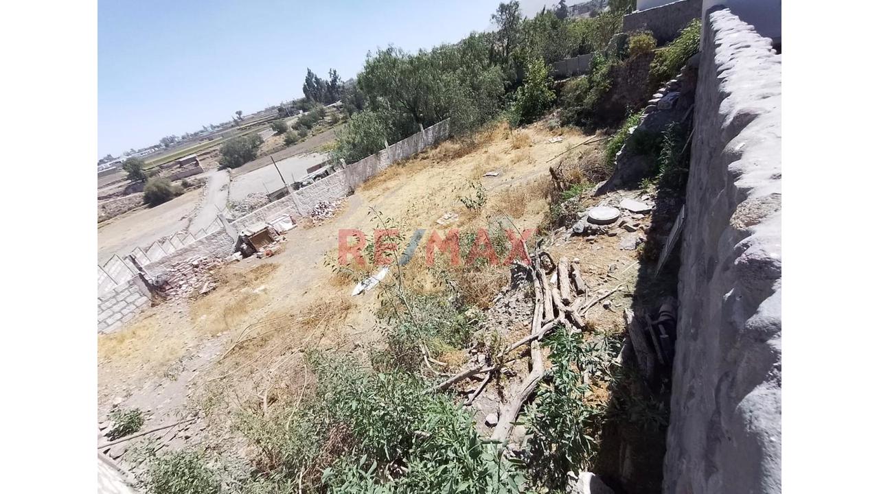 Venta Terreno Rustico En Los Tucos Cayma - 5