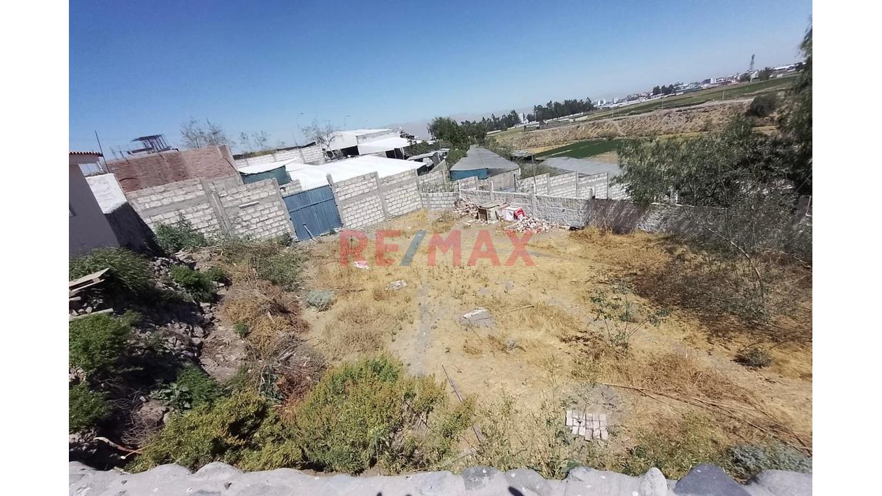Venta Terreno Rustico En Los Tucos Cayma - 11