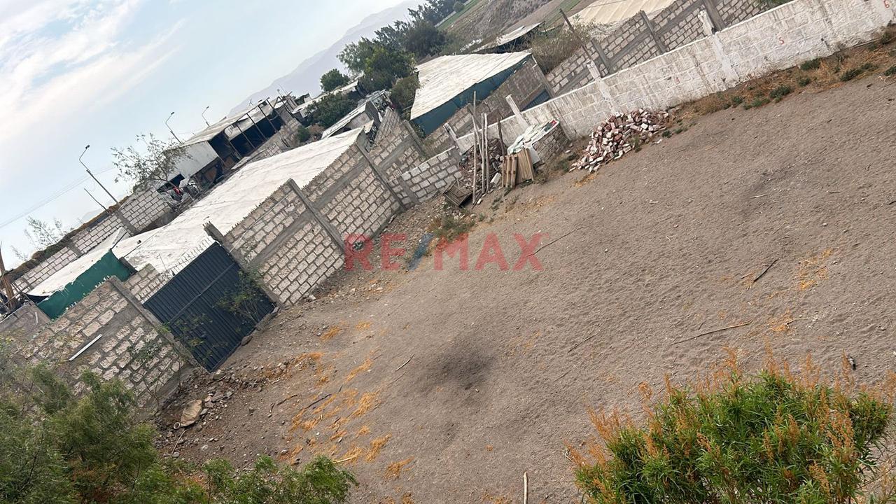 Venta Terreno Rustico En Los Tucos Cayma - 1