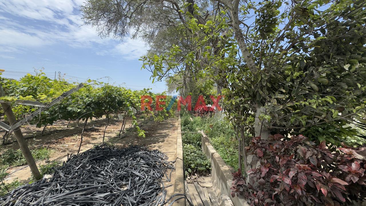 Terreno En Venta En Una Ubicación Estratégica En La Panamericana – 10,000 M² Reque - Chiclayo - 10
