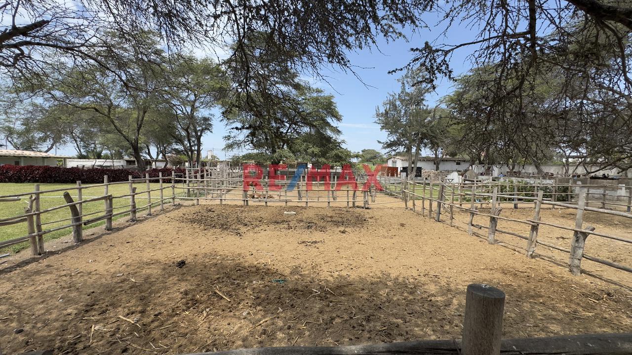 Terreno En Venta En Una Ubicación Estratégica En La Panamericana – 10,000 M² Reque - Chiclayo - 5