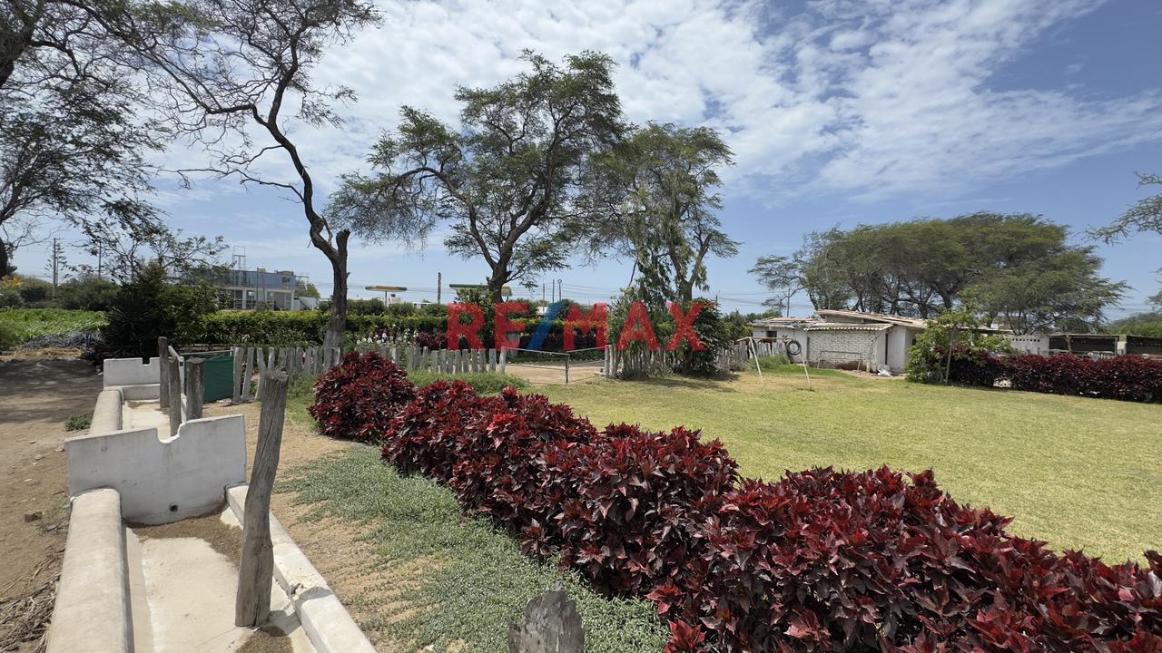 Terreno En Venta En Una Ubicación Estratégica En La Panamericana – 10,000 M² Reque - Chiclayo - 3