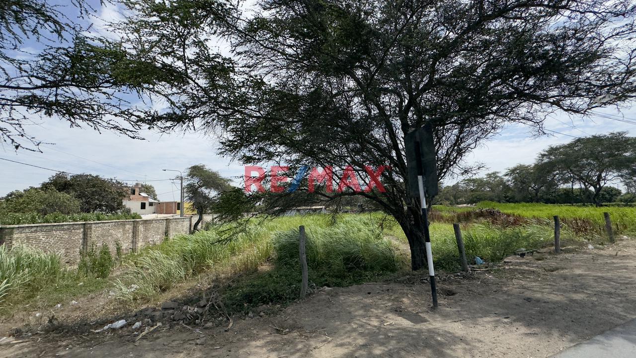 Terreno En Venta En Una Ubicación Estratégica En La Panamericana – 10,000 M² Reque - Chiclayo - 11