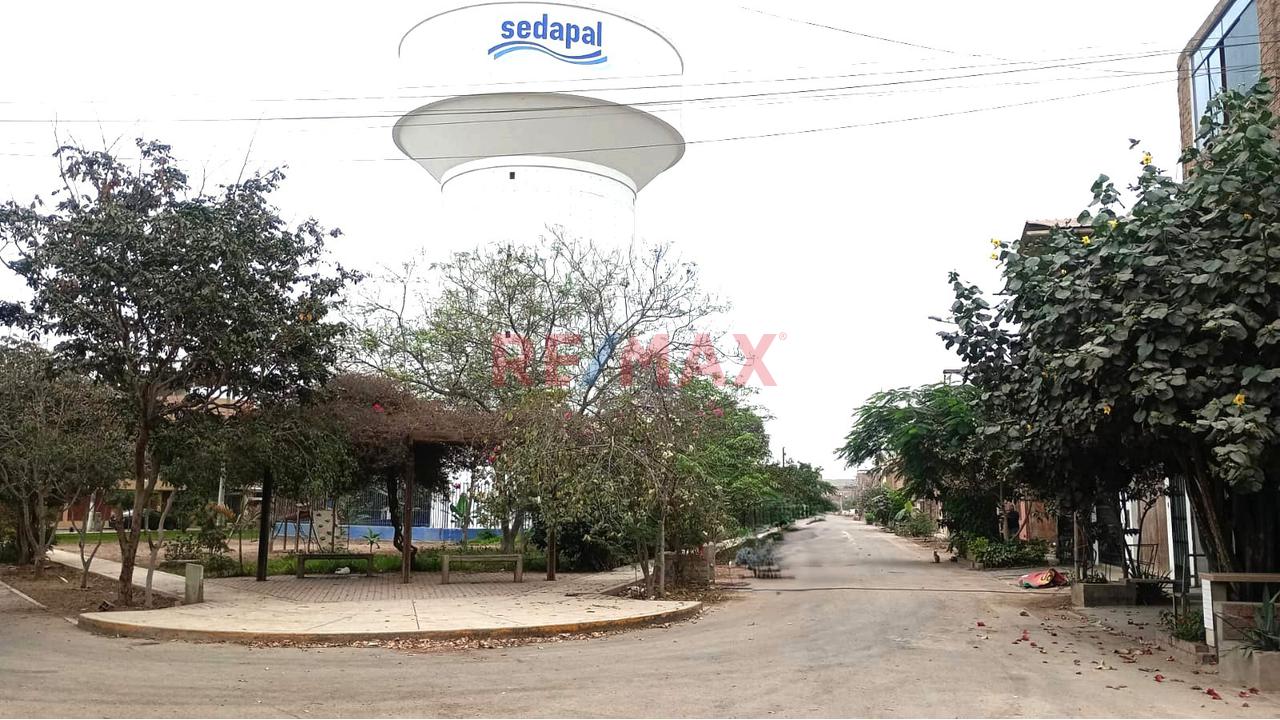 Se Vende Terreno – Urbanizacion San Pedro - Carabayllo — foto 3