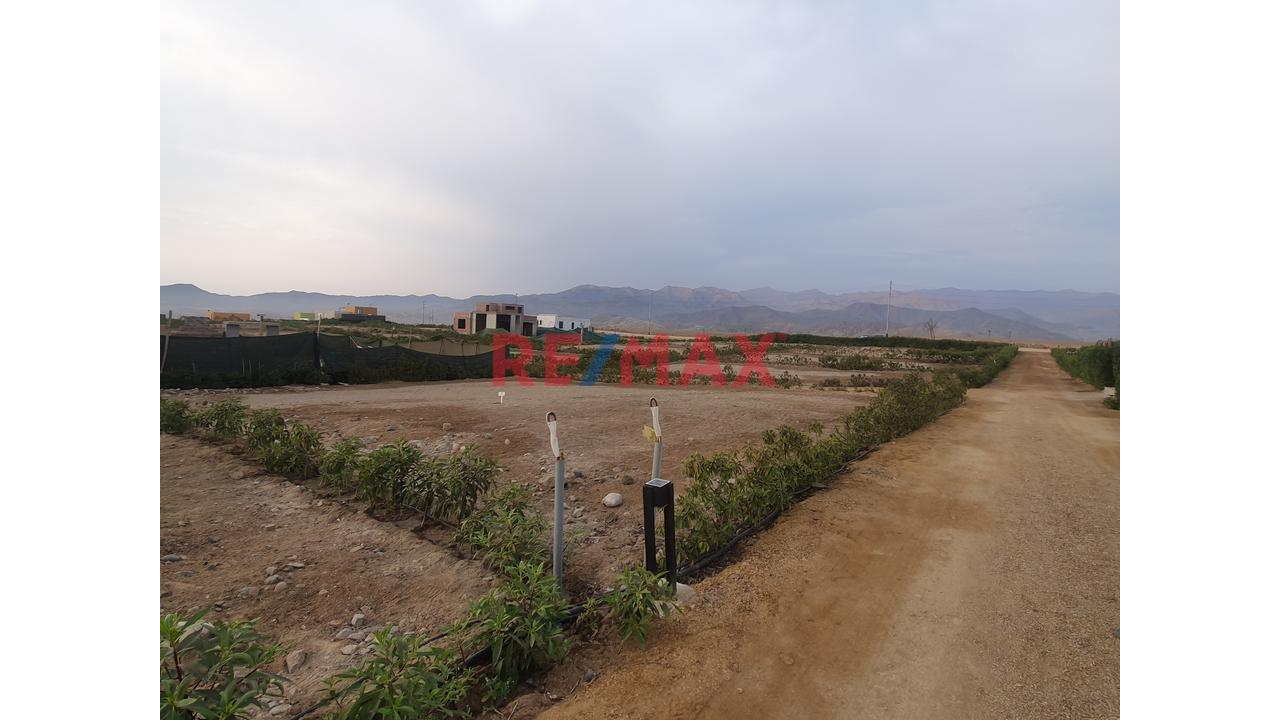 Ocasión!! Terreno Dentro De Condominio Ideal Para Tu Casa De Campo. Cerca De La Playa De Asia! 🌴