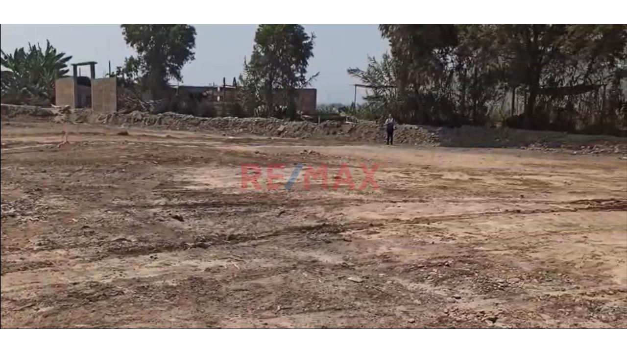 Venta Terreno En Esquina De 500 M2 Para Casa Campo-Fundo Cerro Azul, Huaral - 5