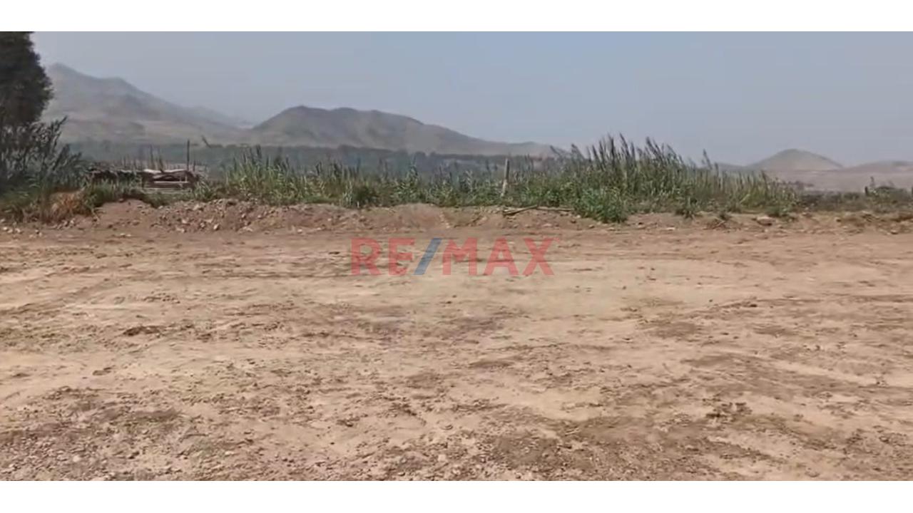 Venta Terreno En Esquina De 500 M2 Para Casa Campo-Fundo Cerro Azul, Huaral - 4