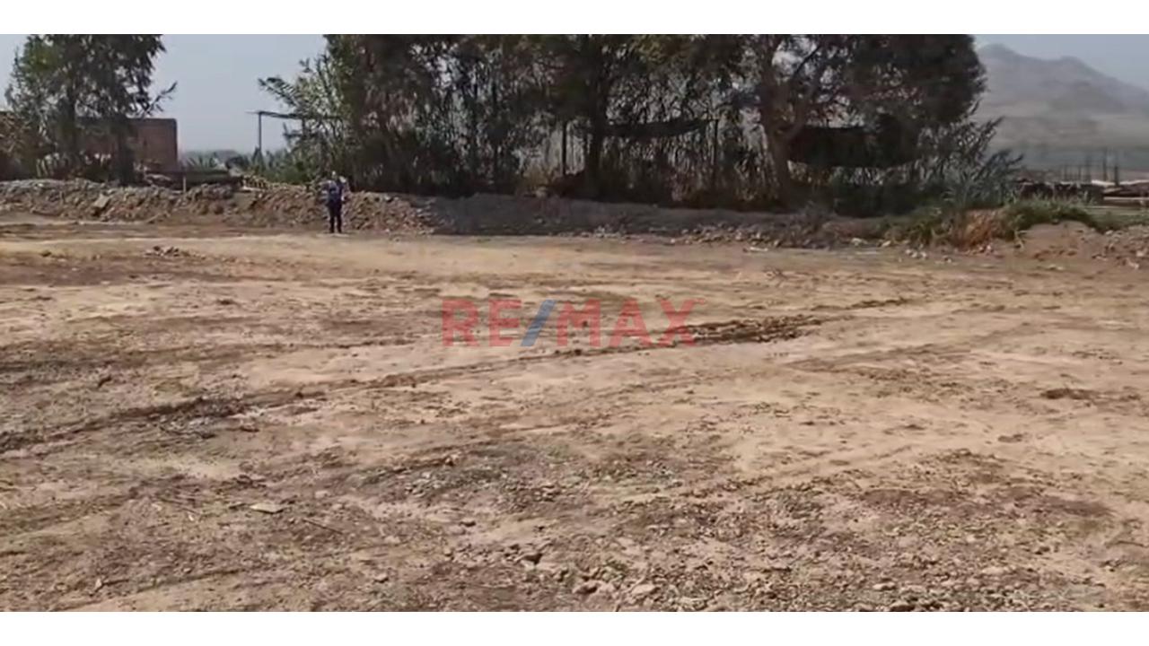 Venta Terreno En Esquina De 500 M2 Para Casa Campo-Fundo Cerro Azul, Huaral - 3