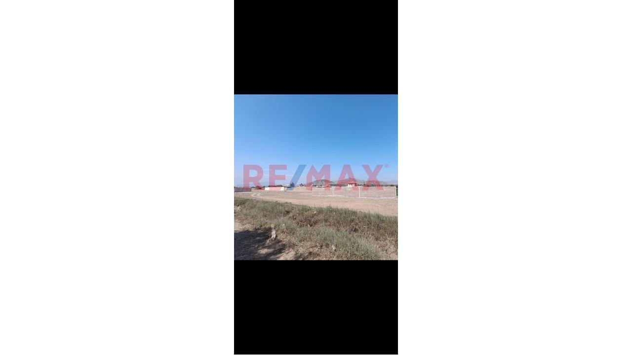 Venta Terreno En Esquina De 500 M2 Para Casa Campo-Fundo Cerro Azul, Huaral - 8