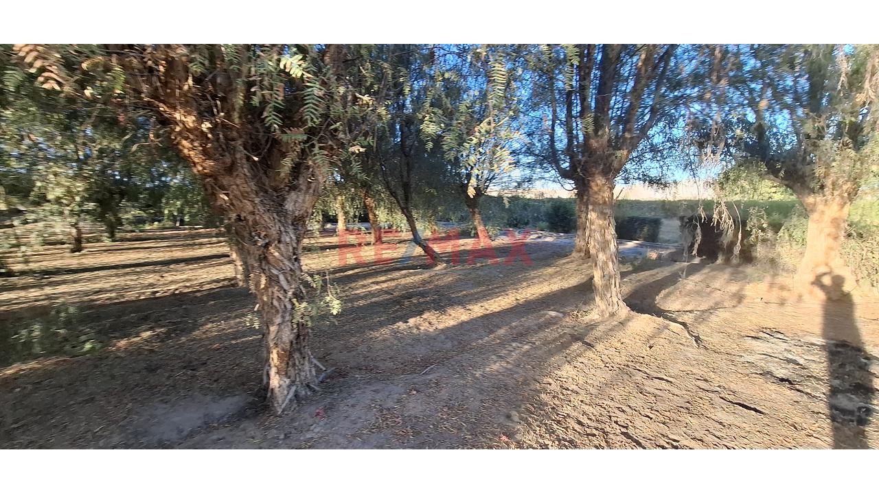 Venta De Exclusivo Terreno Rústico – Urb. Sol De La Joya - 11