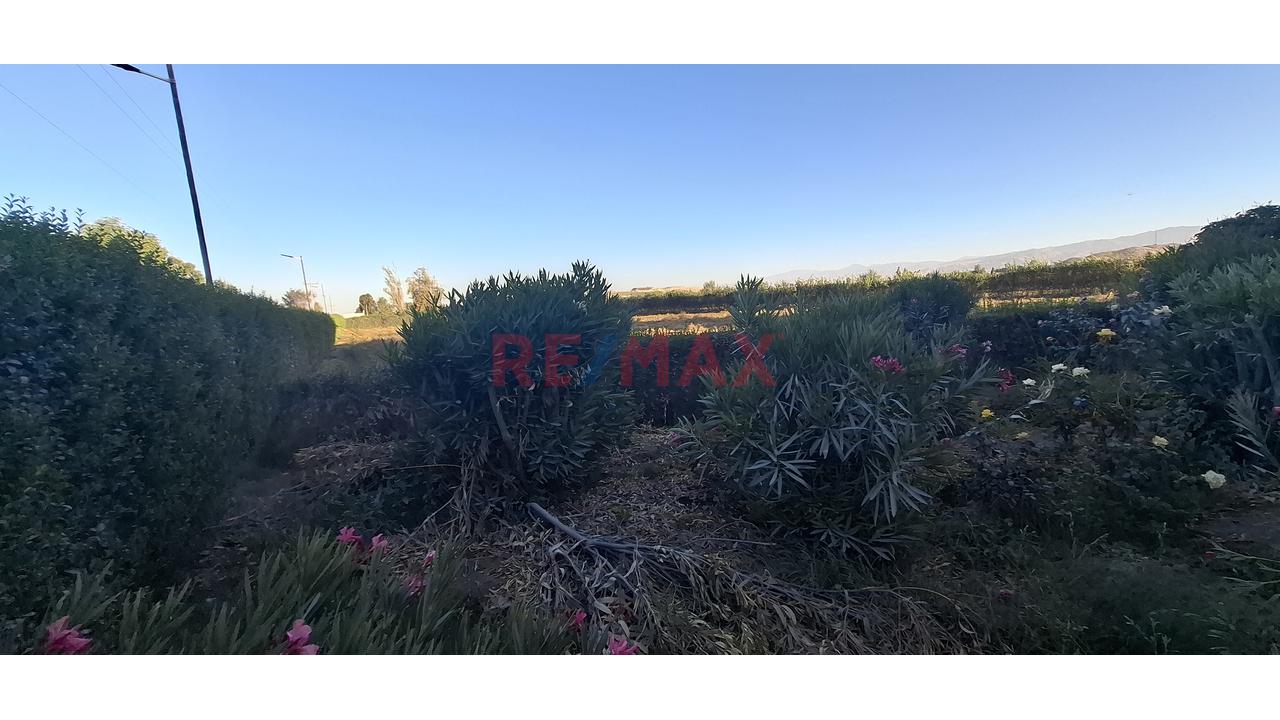 Venta De Exclusivo Terreno Rústico – Urb. Sol De La Joya - 9