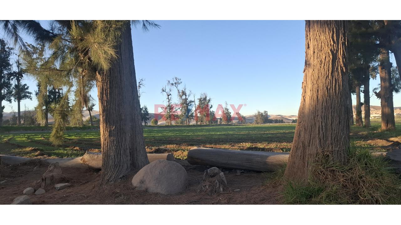 Venta De Exclusivo Terreno Rústico – Urb. Sol De La Joya - 6
