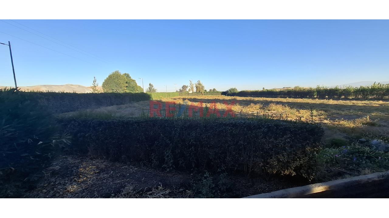 Venta De Exclusivo Terreno Rústico – Urb. Sol De La Joya - 10