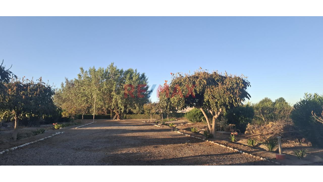 Venta De Exclusivo Terreno Rústico – Urb. Sol De La Joya - 7