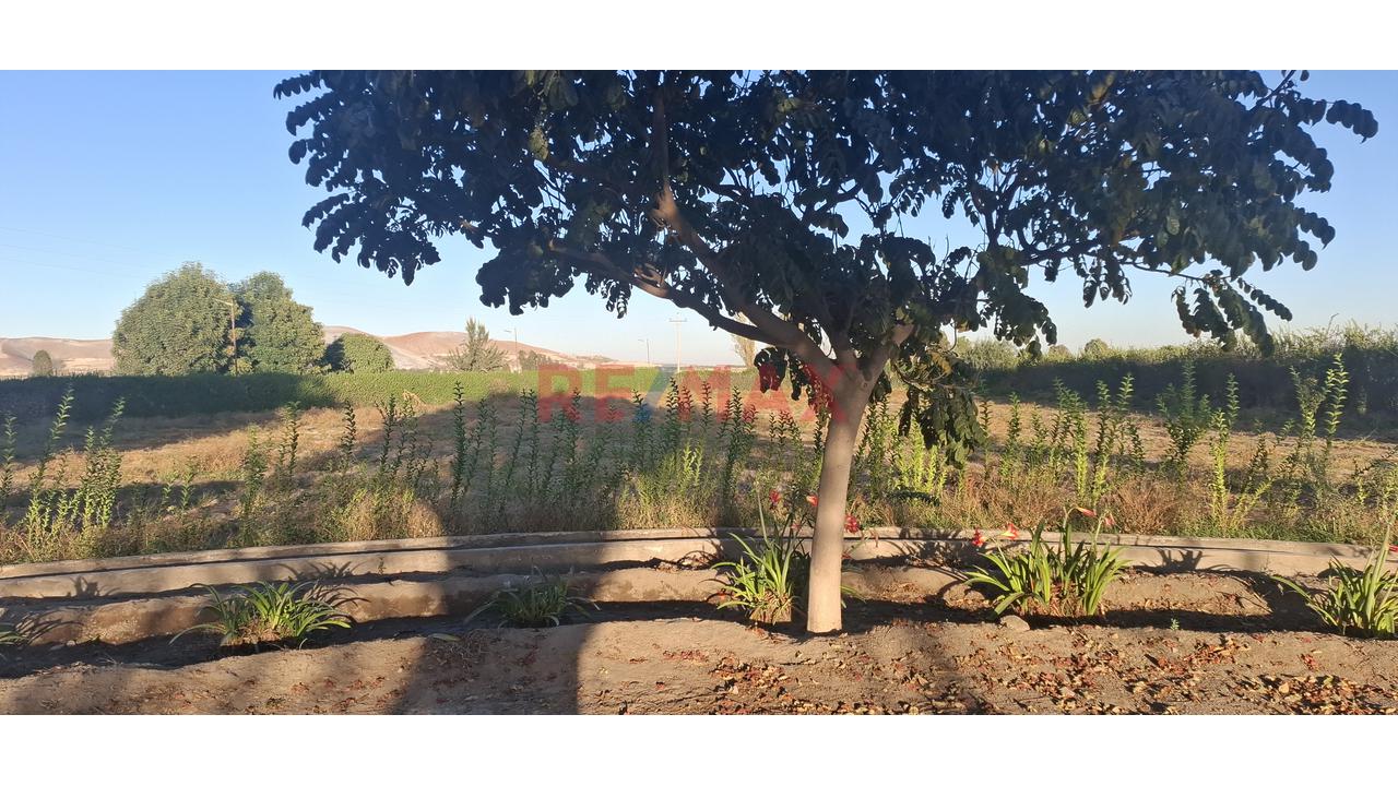 Venta De Exclusivo Terreno Rústico – Urb. Sol De La Joya - 2