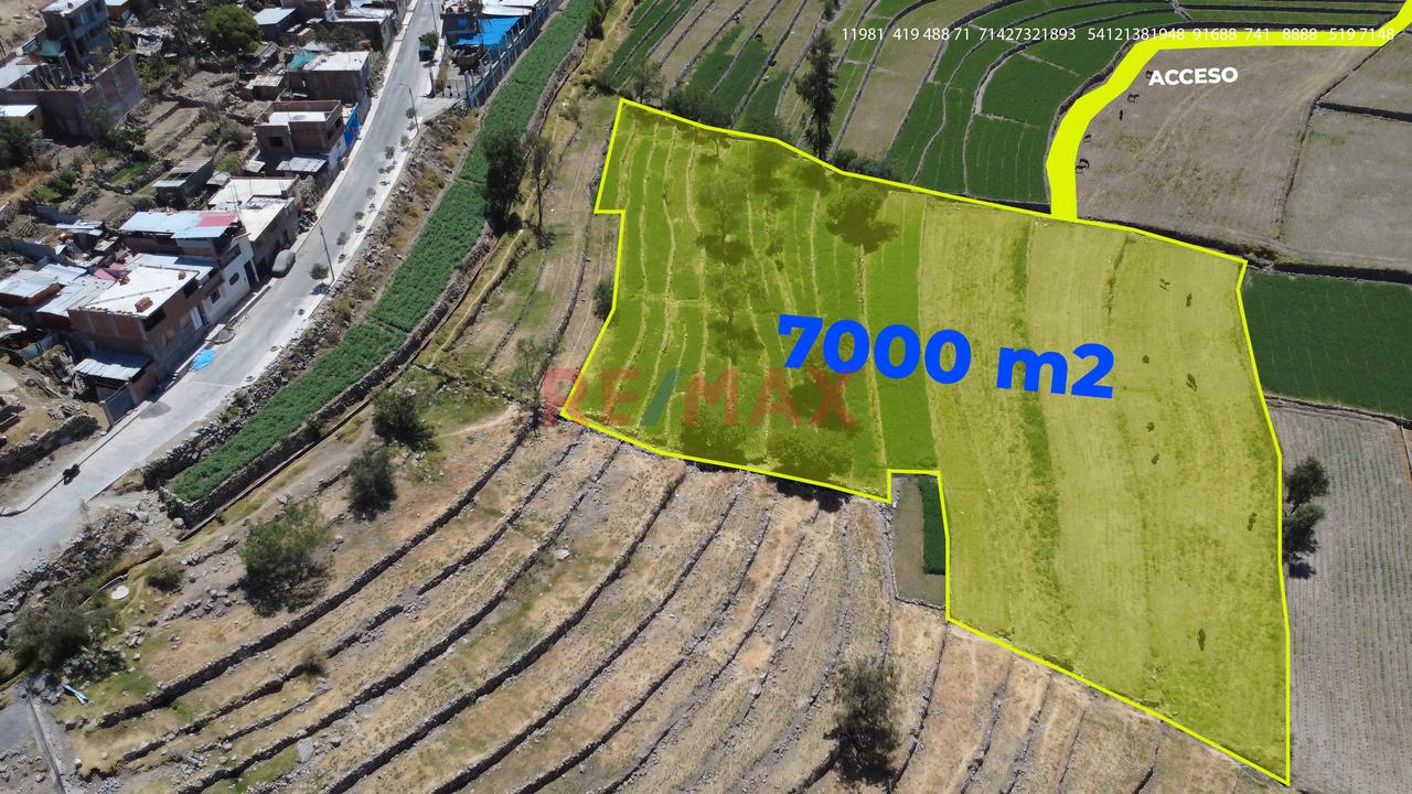 Terreno Agrícola En Venta En Yumina – Ideal Para Casa De Campo Y Cultivo - 4