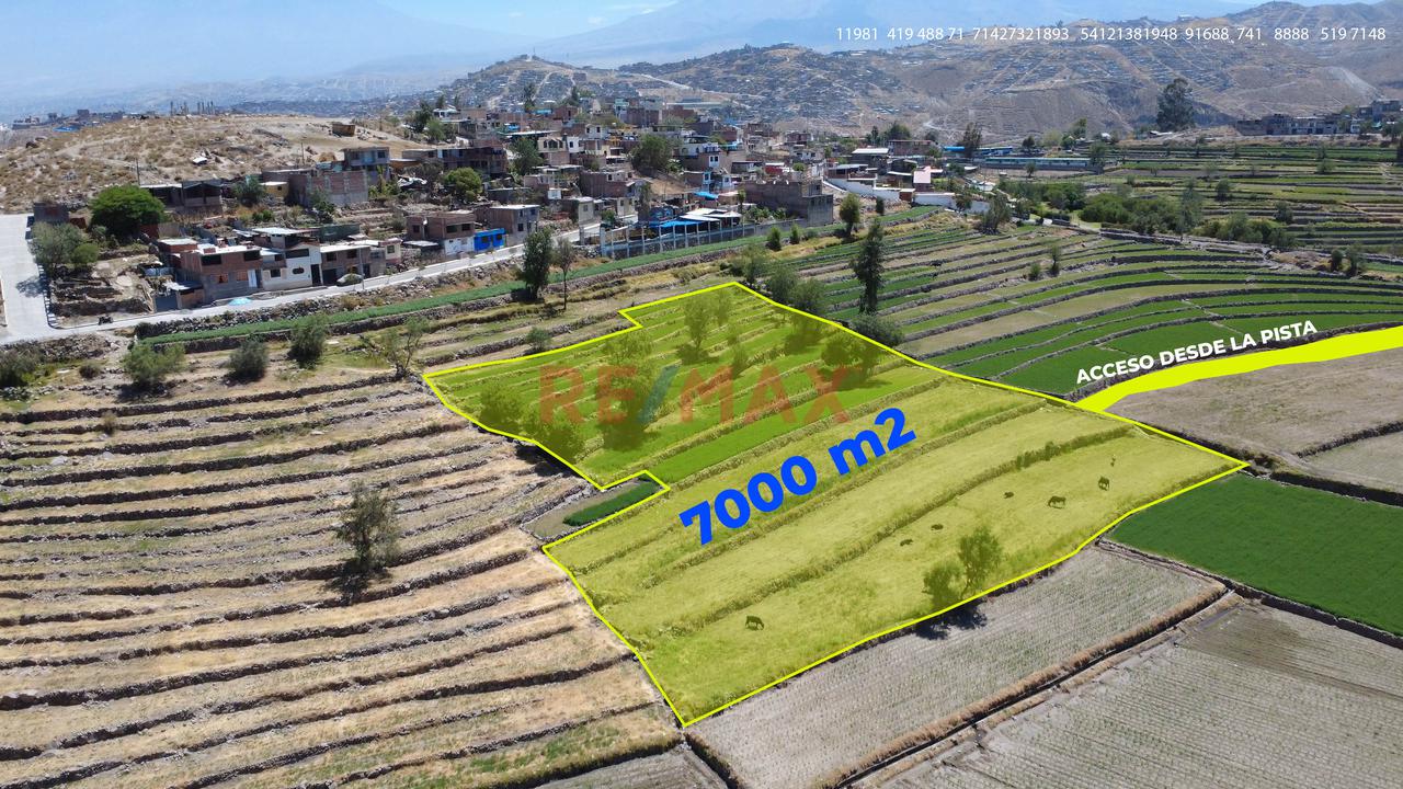 Terreno Agrícola En Venta En Yumina – Ideal Para Casa De Campo Y Cultivo - 2