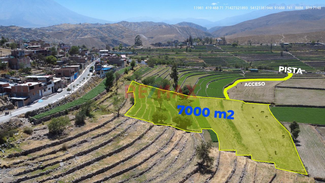 Terreno Agrícola En Venta En Yumina – Ideal Para Casa De Campo Y Cultivo - 3