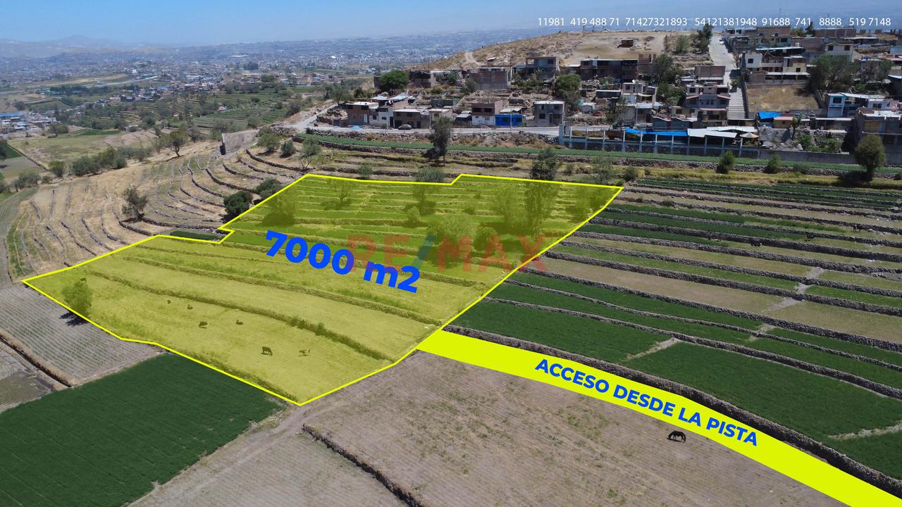 Terreno Agrícola En Venta En Yumina – Ideal Para Casa De Campo Y Cultivo - 1