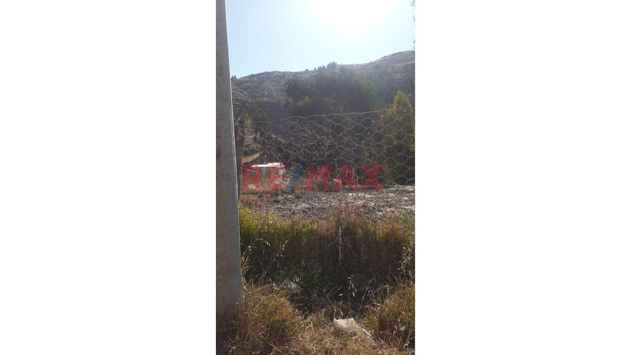 🏡 ¡Lindo Terreno En Venta En Pillao Matao! 🏡 - 3