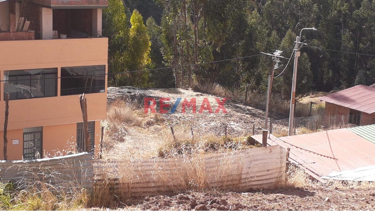 🏡 ¡Lindo Terreno En Venta En Pillao Matao! 🏡 - 1