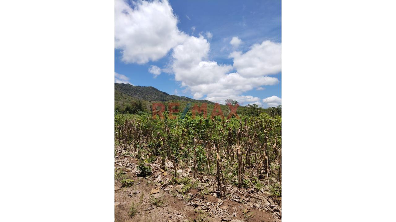 Terreno Estratégico De 32.54 Ha En Venta – Juan Guerra, San Martín - 14