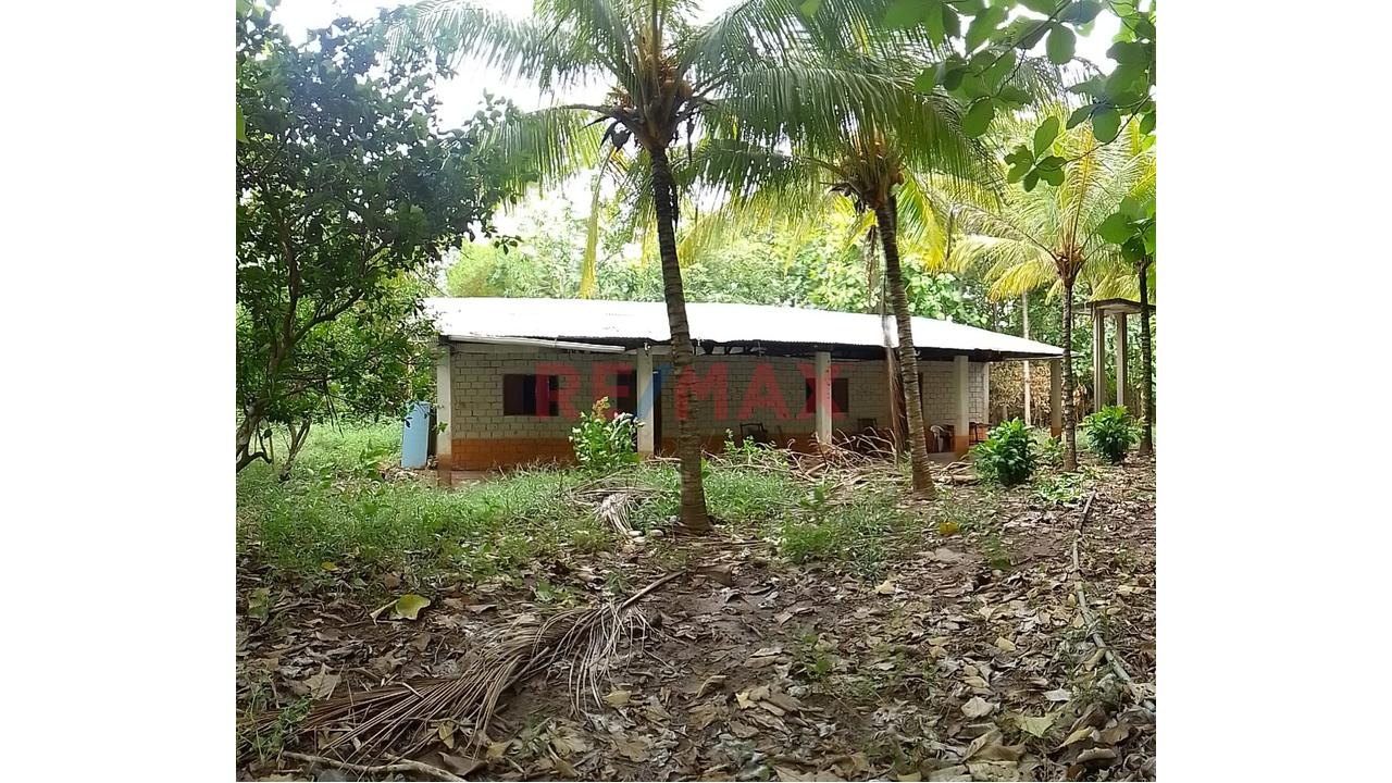 Terreno Estratégico De 32.54 Ha En Venta – Juan Guerra, San Martín - 3