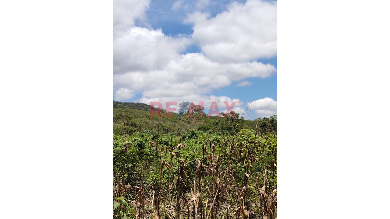 Terreno Estratégico De 32.54 Ha En Venta – Juan Guerra, San Martín - 10