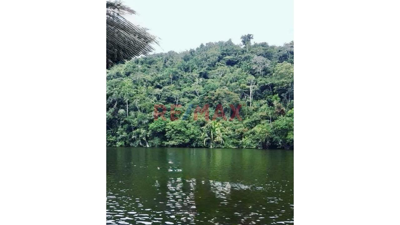 Terreno Estratégico De 32.54 Ha En Venta – Juan Guerra, San Martín - 2