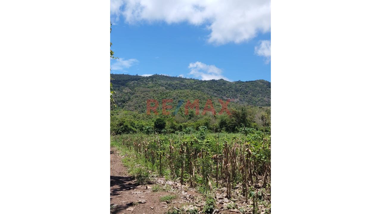 Terreno Estratégico De 32.54 Ha En Venta – Juan Guerra, San Martín - 11