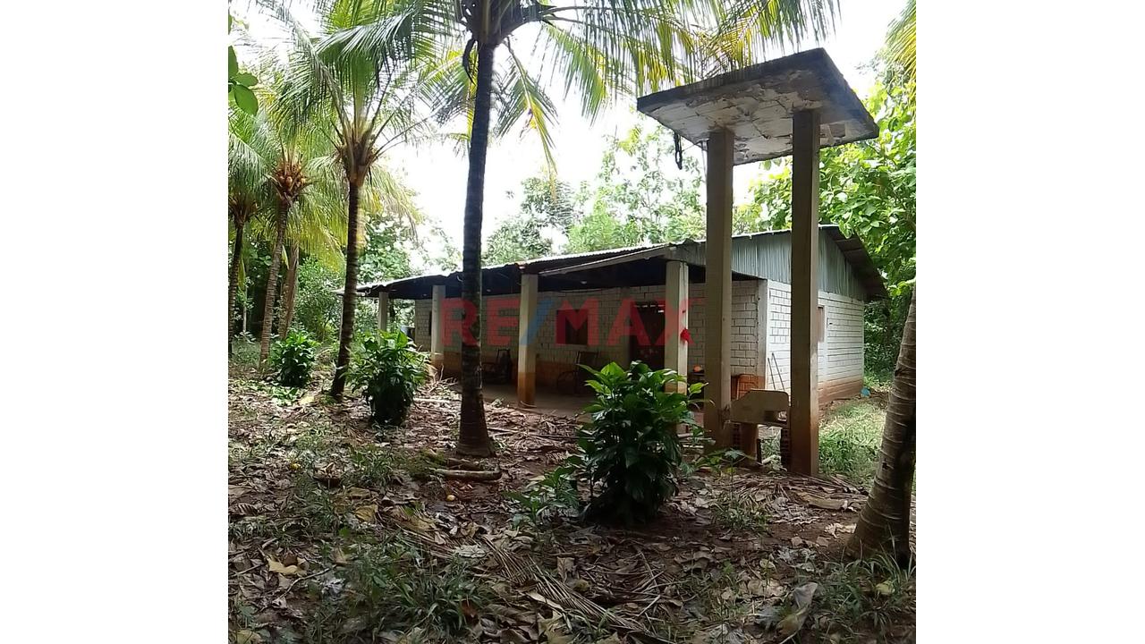 Terreno Estratégico De 32.54 Ha En Venta – Juan Guerra, San Martín - 8
