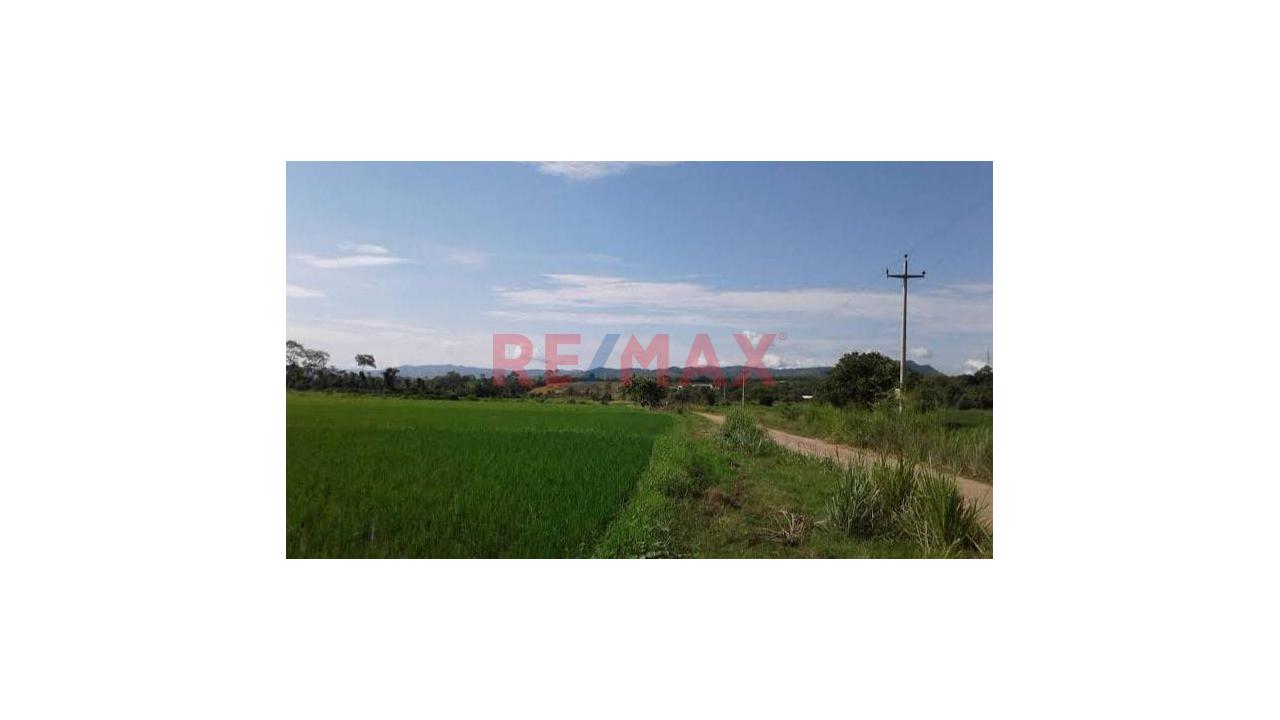 Terreno Estratégico De 32.54 Ha En Venta – Juan Guerra, San Martín - 7
