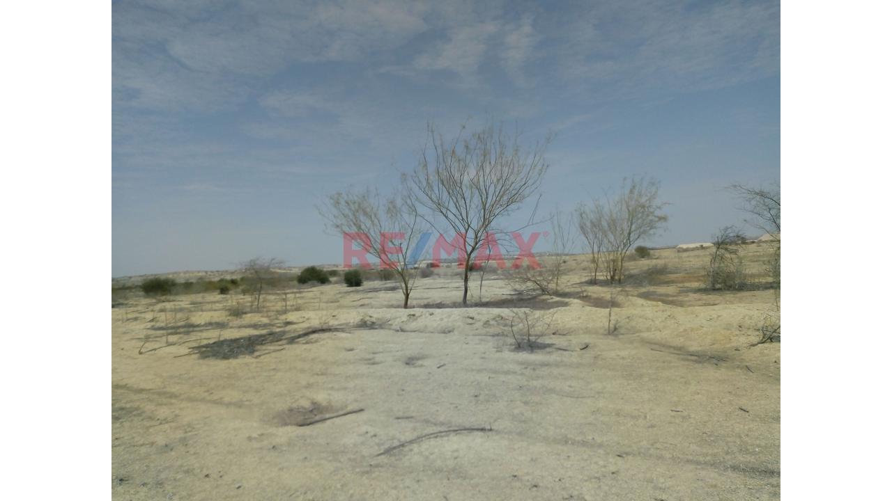 Terreno De 10.5 Hectáreas🏗️ Invierte En El Corredor Industrial Piura–Paita | - 11