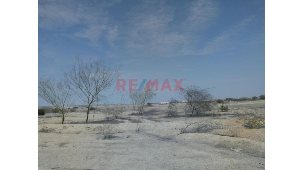 Terreno De 10.5 Hectáreas🏗️ Invierte En El Corredor Industrial Piura–Paita | - 15