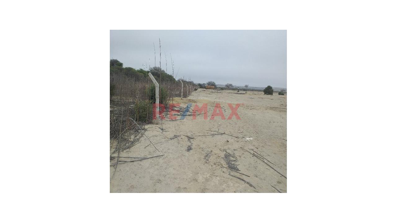 Terreno De 10.5 Hectáreas🏗️ Invierte En El Corredor Industrial Piura–Paita | - 2