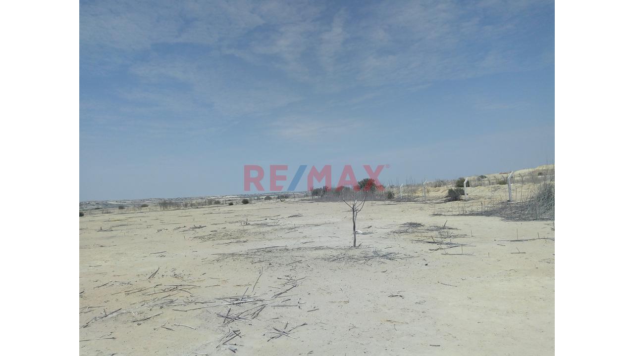 Terreno De 10.5 Hectáreas🏗️ Invierte En El Corredor Industrial Piura–Paita | - 8