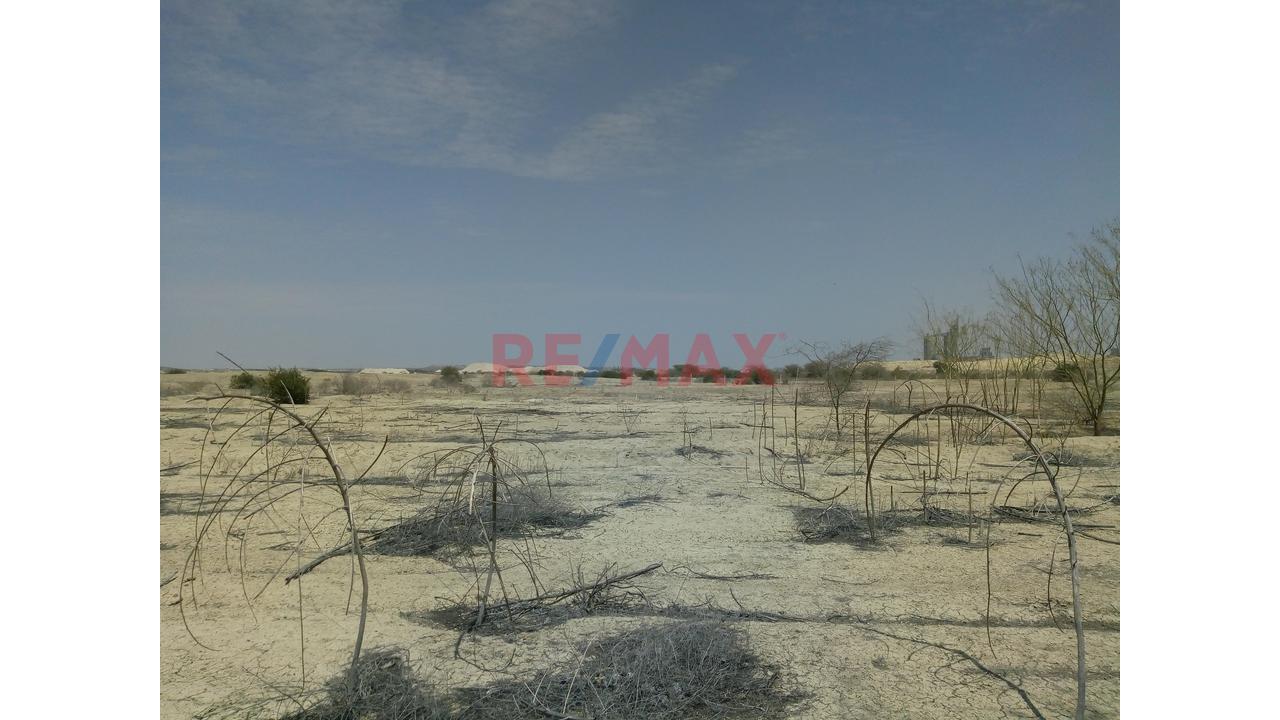 Terreno De 10.5 Hectáreas🏗️ Invierte En El Corredor Industrial Piura–Paita | - 13