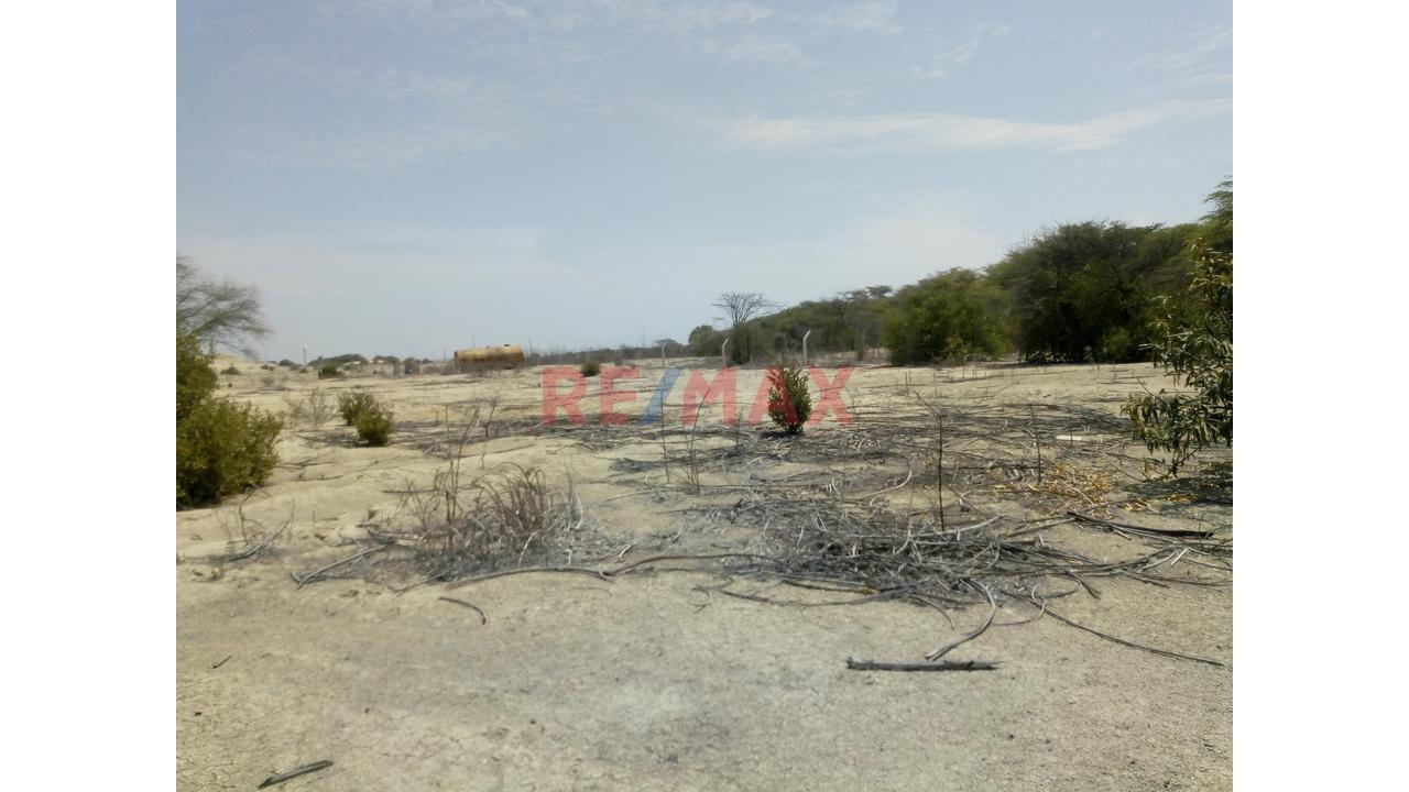 Terreno De 10.5 Hectáreas🏗️ Invierte En El Corredor Industrial Piura–Paita | - 7