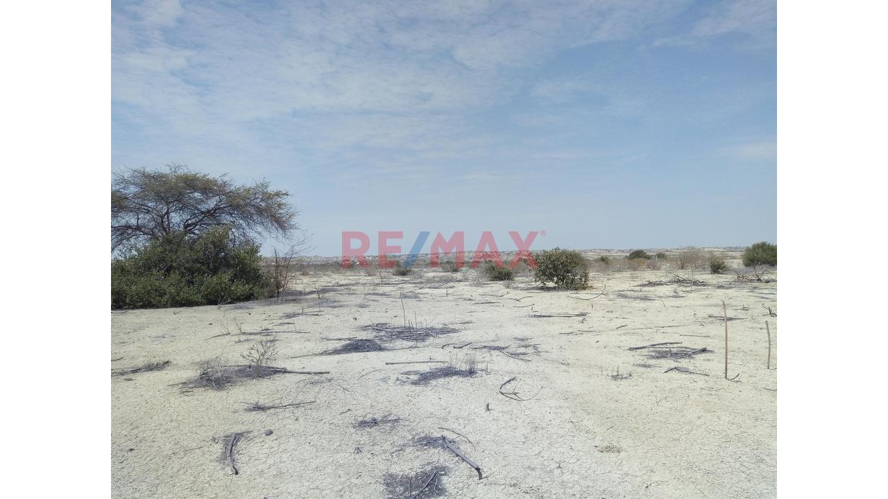 Terreno De 10.5 Hectáreas🏗️ Invierte En El Corredor Industrial Piura–Paita | - 12