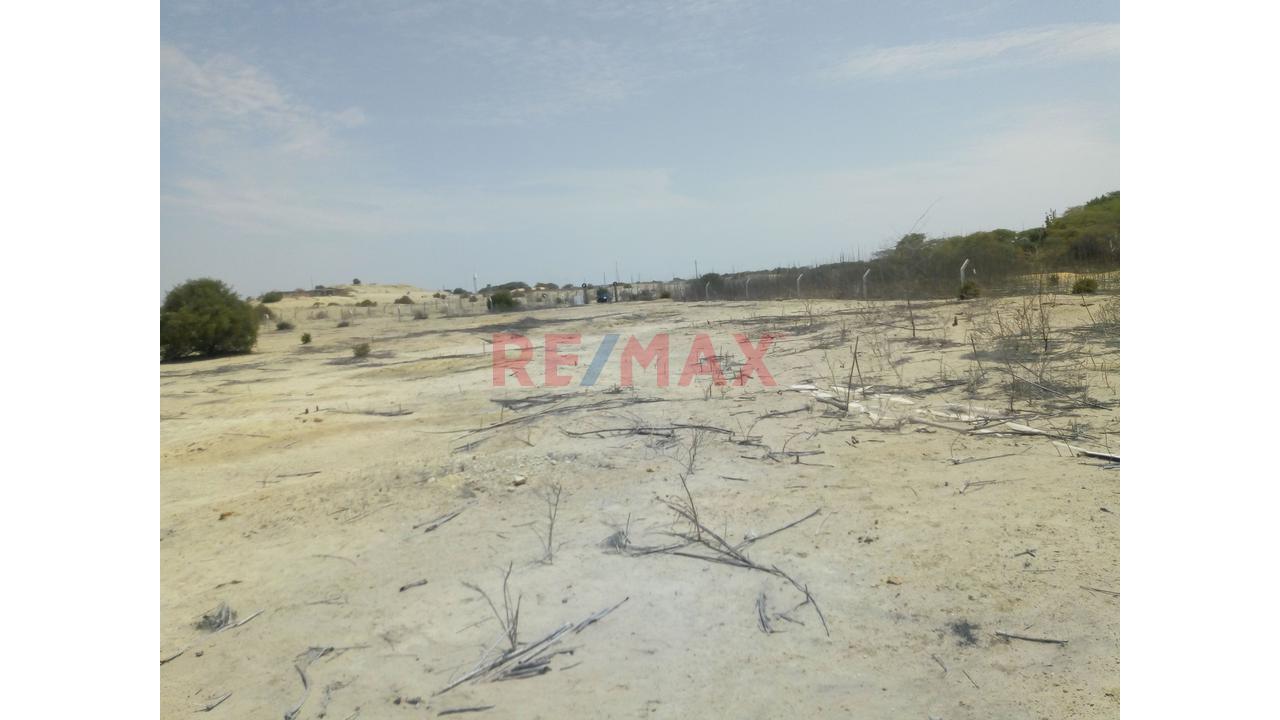 Terreno De 10.5 Hectáreas🏗️ Invierte En El Corredor Industrial Piura–Paita | - 5