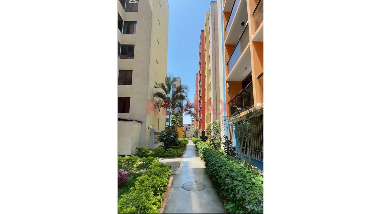 Ocasion Departamento 2Pido Torres De Los Olivos — foto 9