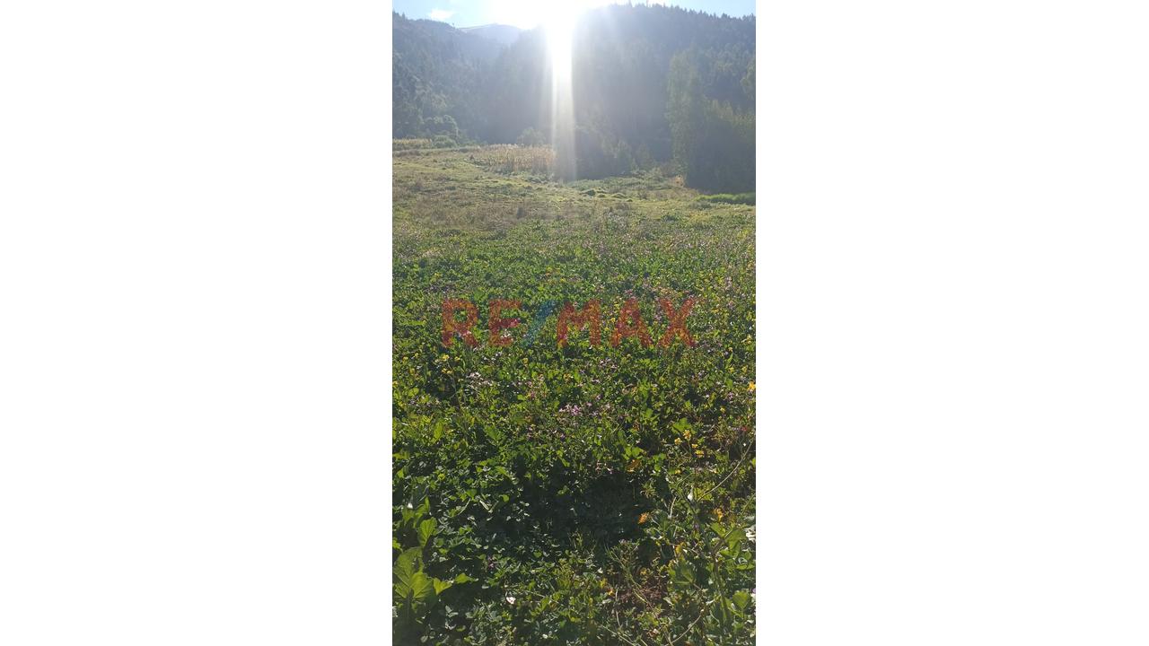 Terreno En Venta En La Comunidad Campesina Se Ayarmaca Ticapata - 4