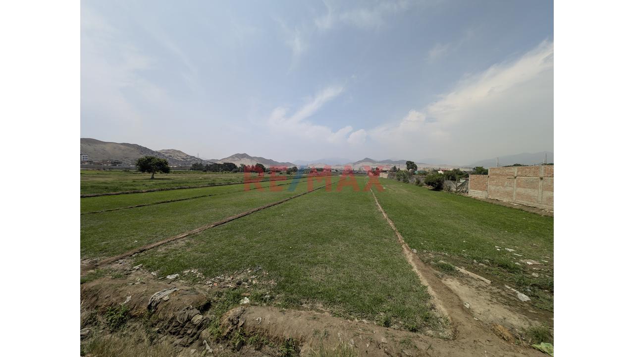 Terreno En Venta En Lurín | 8,632 M² — foto 2