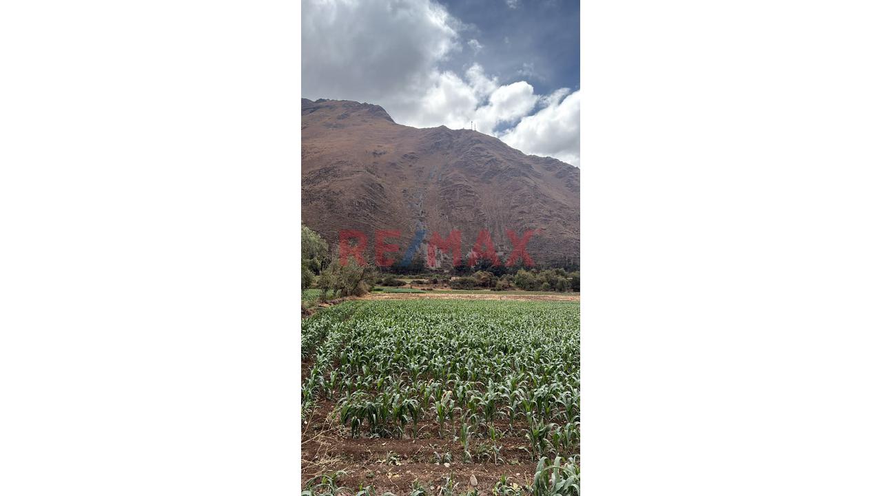 🌿 Terreno Agricola En Venta – Rumira - 6