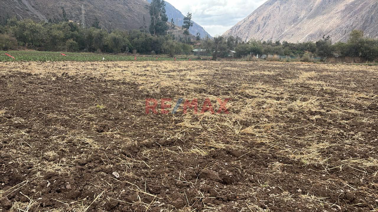 🌿 Terreno Agricola En Venta – Rumira - 4