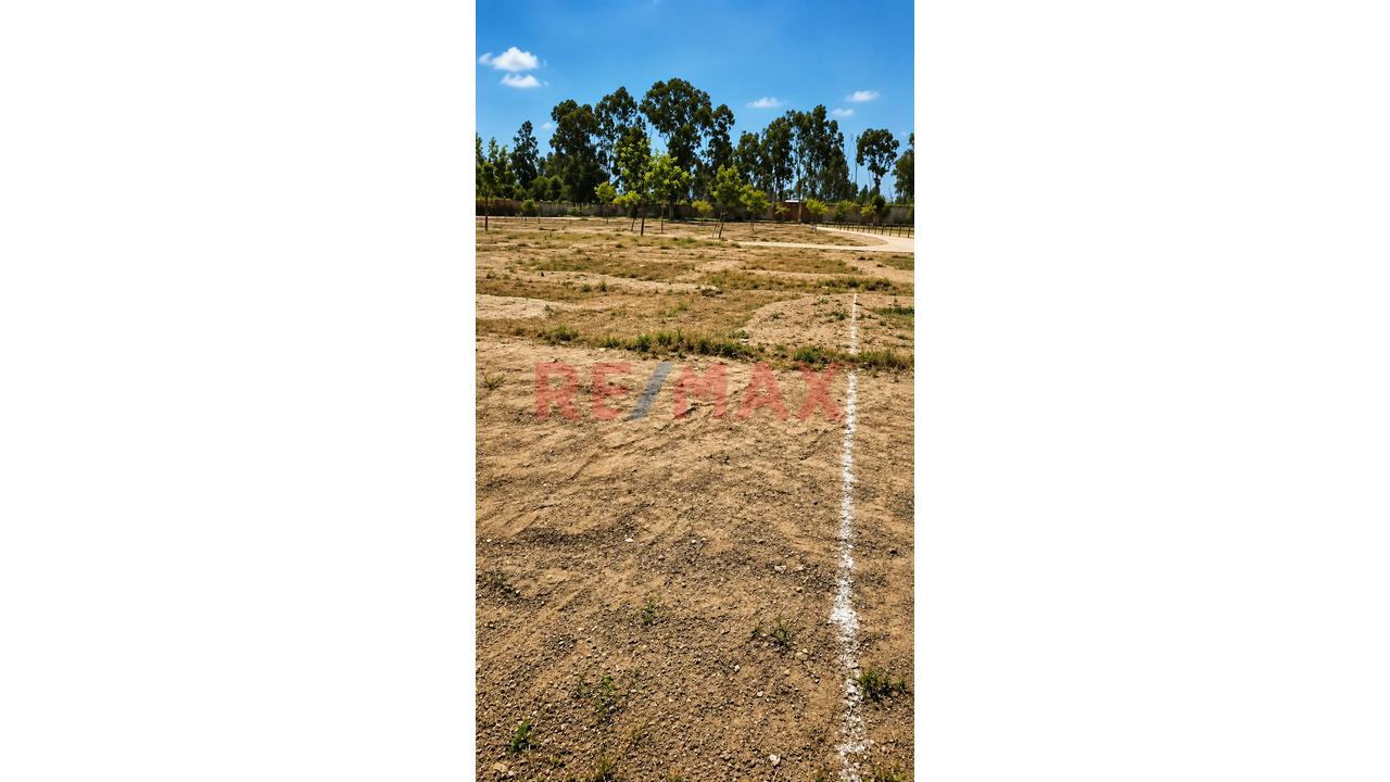 Terreno En Venta 140M²– Fundo Pradera De Pachacamac (Inscrito En Rrpp) — foto 3
